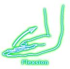 Flexsion